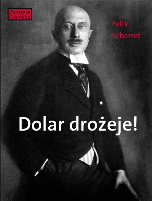 Dolar drożeje!. Powieść inflacyjna z pewnego starego miasta