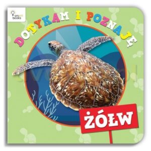 Dotykam i Poznaję. Żółw