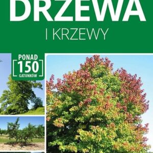 Drzewa i krzewy Atlas