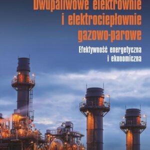 Dwupaliwowe elektrownie i elektrociepłownie gazowo-parowe. Efektywność energetyczna i ekonomiczna