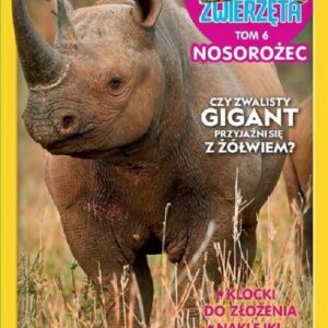 Dzikie Zwierzęta 6 Nosorożec