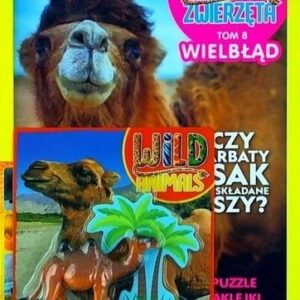 Dzikie Zwierzęta. 8. Wielbłąd