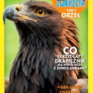 Dzikie Zwierzęta 9 Orzeł