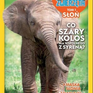 Dzikie Zwierzęta. Słoń t.1   /K/