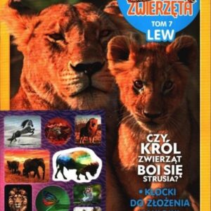 Dzikie zwierzęta T. Lew