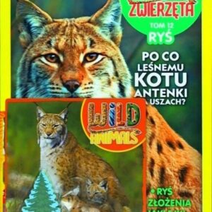 Dzikie Zwierzęta T.12 Ryś