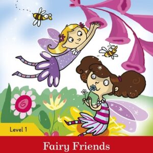 Fairy Friends Activity book