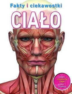 Fakty i ciekawostki. Ciało