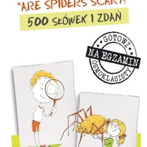 Fiszki SCHOOL Are spiders scary? 500 słówek i zdań