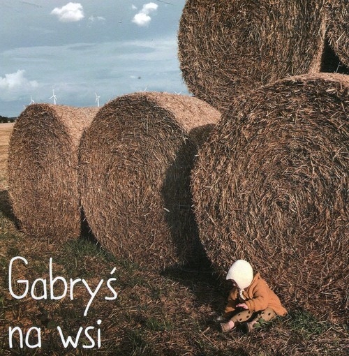 Gabryś na wsi / tekturka