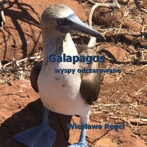 Galapagos - wyspy odczarowane