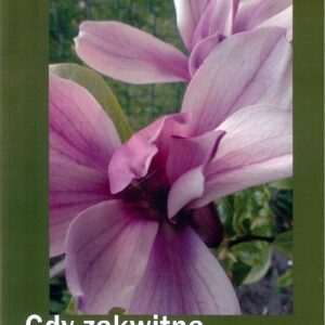 Gdy zakwitną magnolie / Białe Pióro
