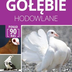Gołębie hodowlane Encyklopedia