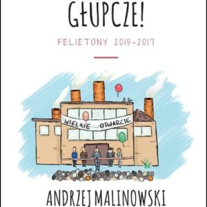 Gospodarka, głupcze!. Felietony 2015-2017