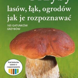 Grzyby lasów, łąk i ogrodów - jak je rozpoznawać