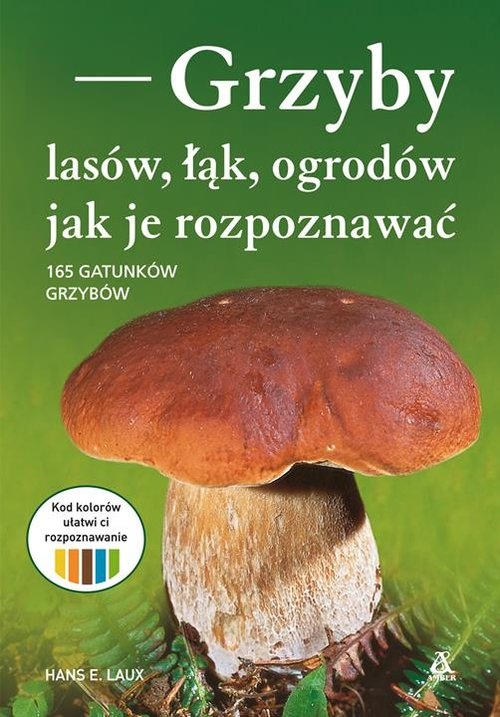 Grzyby lasów, łąk i ogrodów - jak je rozpoznawać