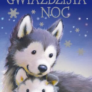 Gwiaździsta noc