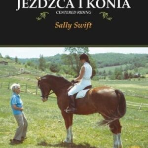 Harmonia jeźdźca i konia
