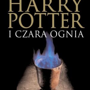 Harry Potter 4 Czara Ognia BR w.2017