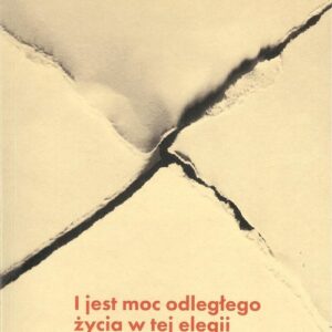 I jest moc odległego życia w tej elegii. Uwagi o wierszach Andrzeja Sosnowskiego