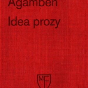 Idea prozy
