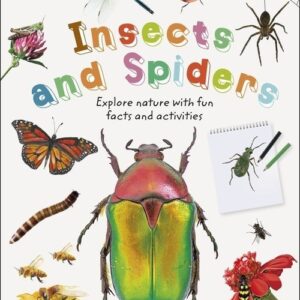 Insects and Spiders