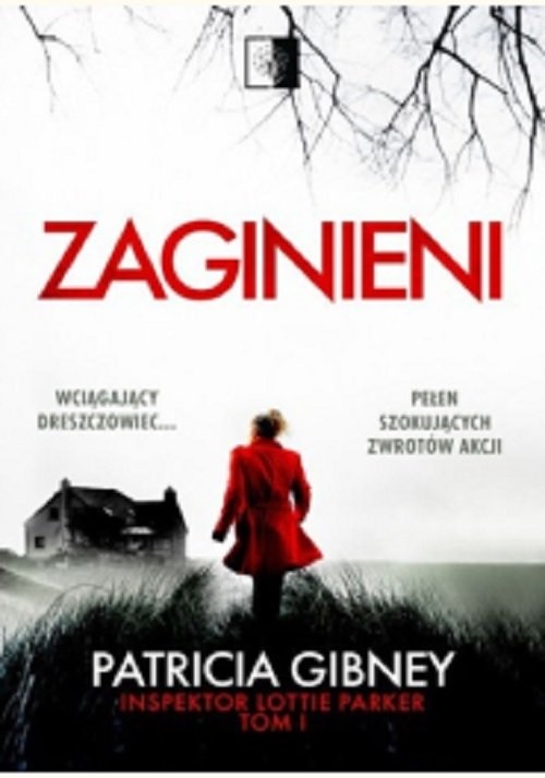 Inspektor Lottie Parker Tom 1 Zaginieni