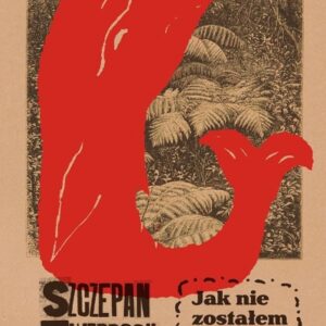 Jak nie zostałem poetą