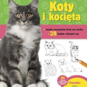 Jak rysować Koty i kocięta