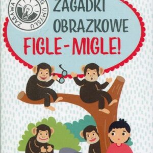 Kapitan Nauka Zagadki obrazkow Figle-migle 2-4 lata
