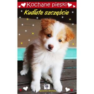 Kochane pieski Kudłate szczęście