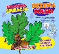 Kolorowa edukacja - Drzewa Polski