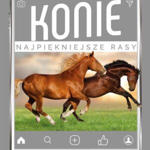 Konie Najpiękniejsze rasy