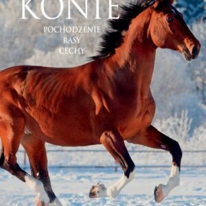 Konie Pochodzenie Rasy Cechy/SBM