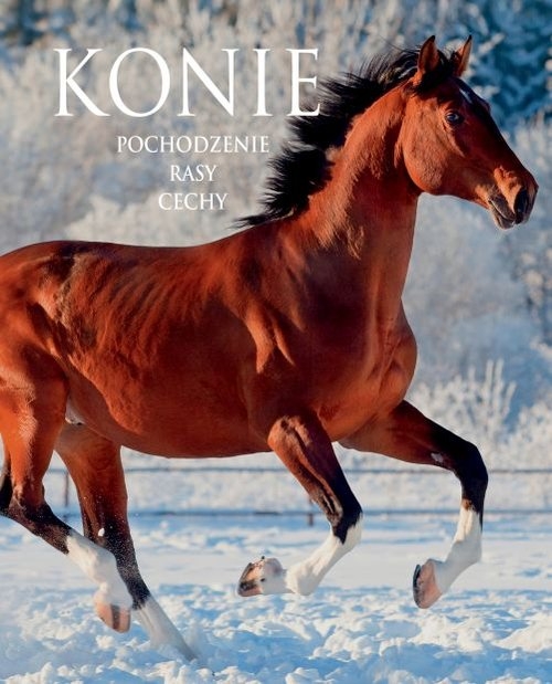 Konie Pochodzenie Rasy Cechy/SBM