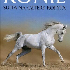 Konie Suita na cztery kopyta