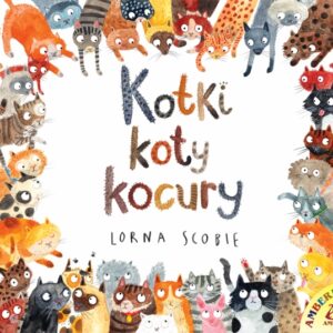 Kotki, koty, kocury