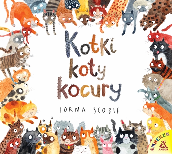 Kotki, koty, kocury