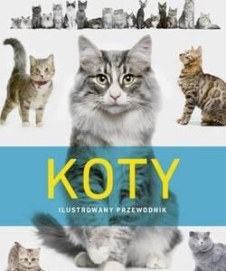 Koty. Ilustrowany przewodnik
