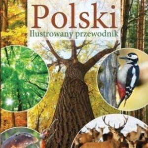 Lasy Polski. Ilustrowany przewodnik