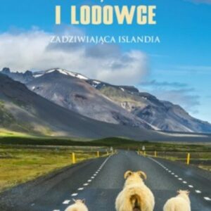 Lawa, owce i lodowce Zadziwiająca Islandia