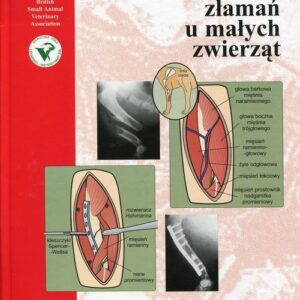 Leczenie złamań u małych zwierząt
