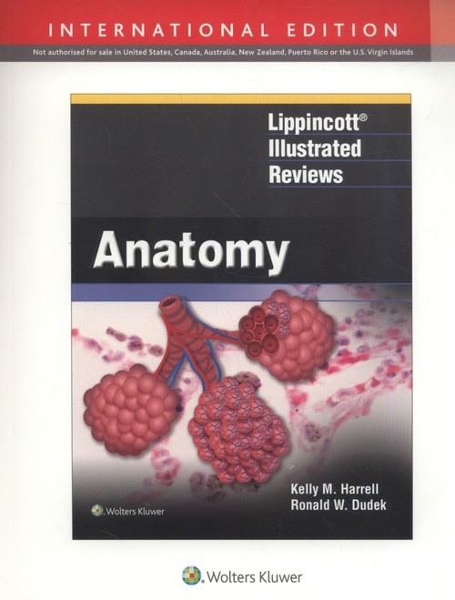 LIR ANATOMY (INT ED)