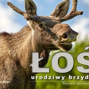 Łoś - urodziwy brzydal