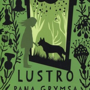 Lustro pana Grymsa