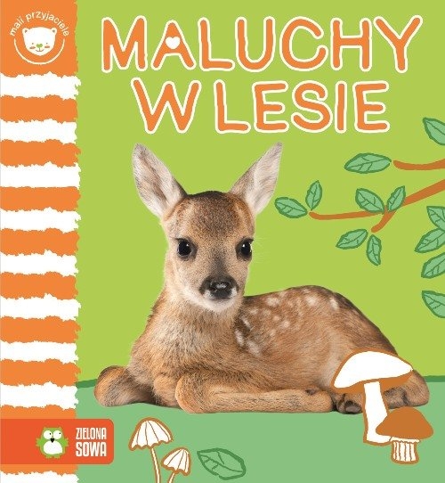 Maluchy w lesie Mali przyjaciele