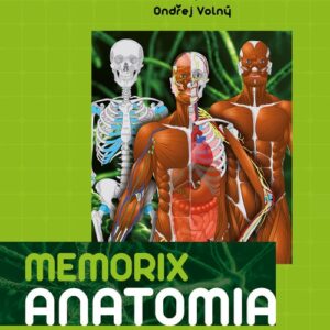 Memorix Anatomia