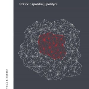 Mgła emocje paradoksy Szkice o polskiej polityce