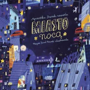 Miasto nocą