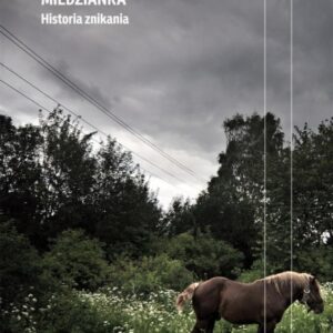 Miedzianka. Historia znikania